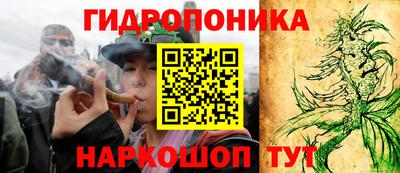 дмт Мариинск