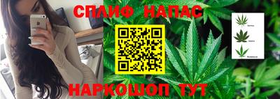 шишки Малоярославец