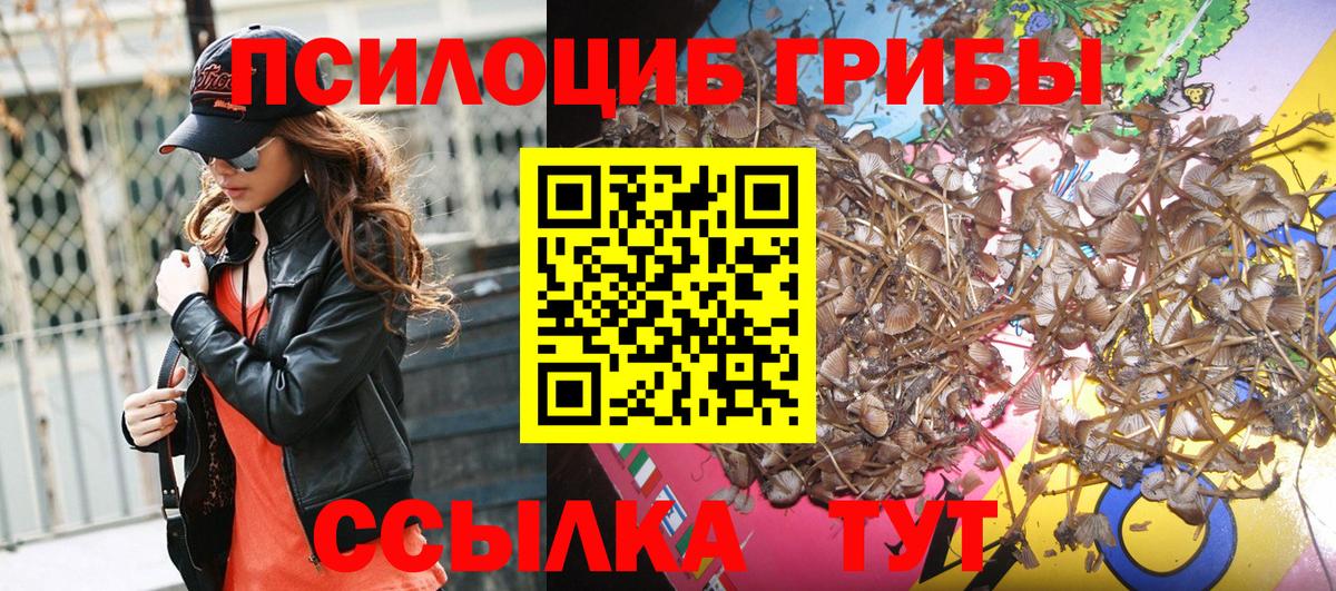 Дзержинский  закладка  Вход с VPN  Галлюциногенные грибы Cubensis 